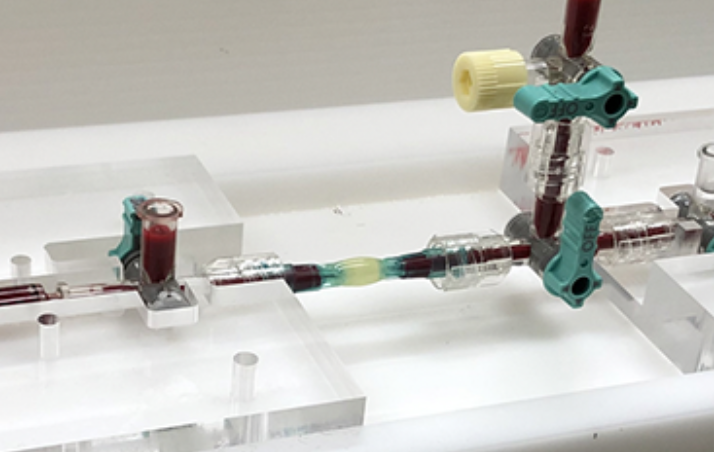 Therapeutic Bioresilience