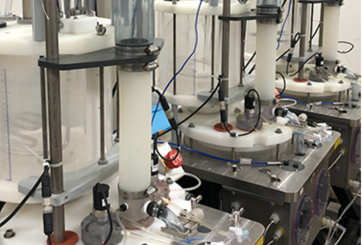 Hemodynamic Fluid Simulation